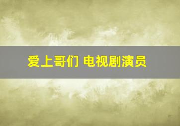 爱上哥们 电视剧演员